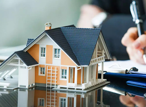 tally software consultancy