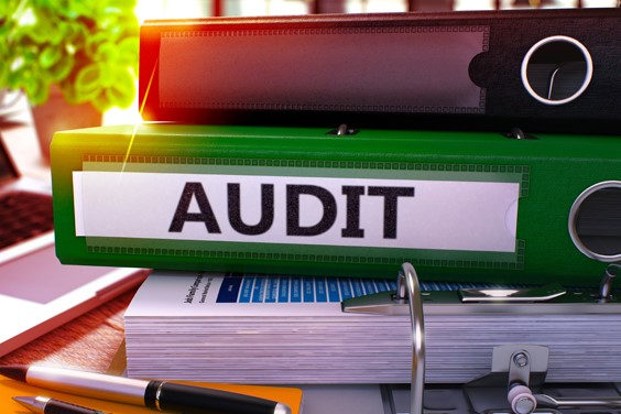 Best Auditing Activities in Dubai
